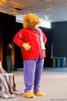 Copyright : Vincent Folliard